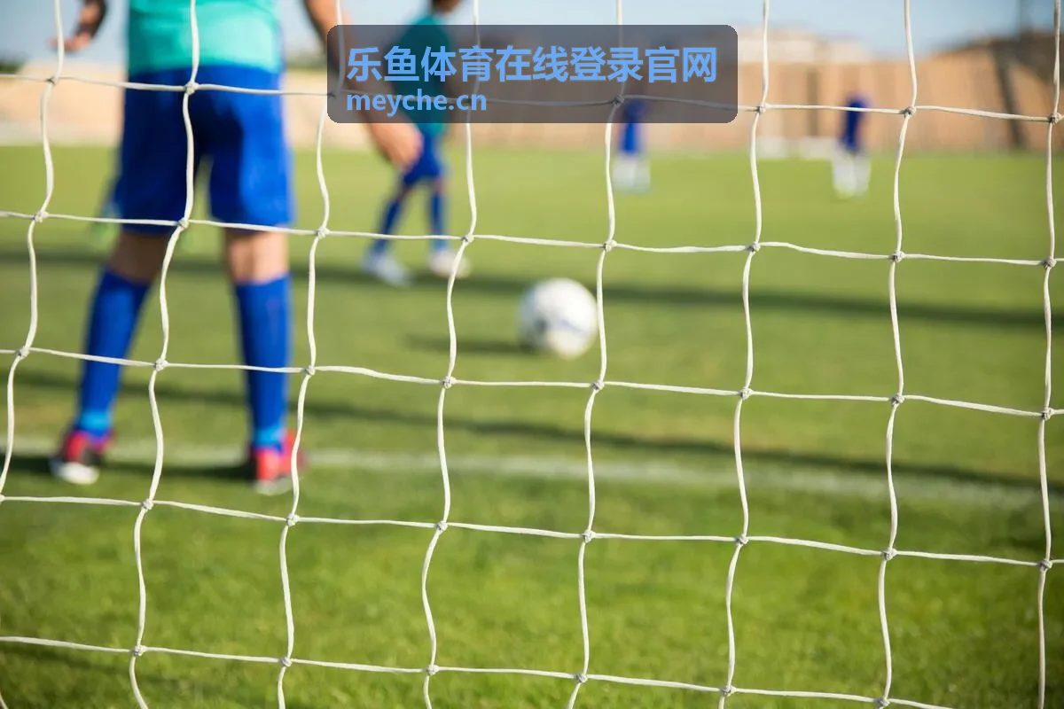 乐鱼体育积分商城好礼上新封面图