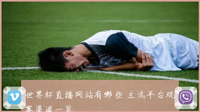 世界杯直播网站有哪些 主流平台观赛渠道一览