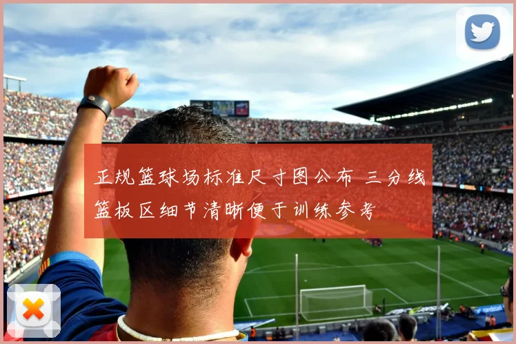 正规篮球场标准尺寸图公布 三分线篮板区细节清晰便于训练参考