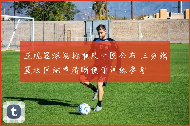 正规篮球场标准尺寸图公布 三分线篮板区细节清晰便于训练参考