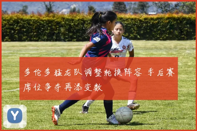 多伦多猛龙队调整轮换阵容 季后赛席位争夺再添变数