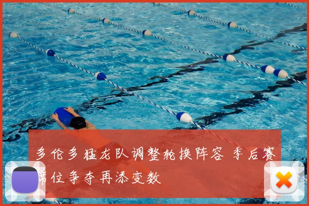 多伦多猛龙队调整轮换阵容 季后赛席位争夺再添变数